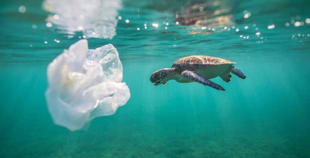 Climate change documentary: the best 13 movies - Hourglass