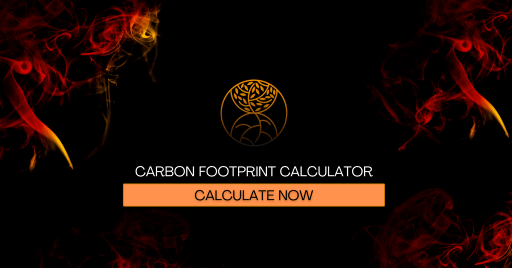 CO2 Calculator Your Carbon Footprint Hourglass   Co2 Calculator 1024x536 